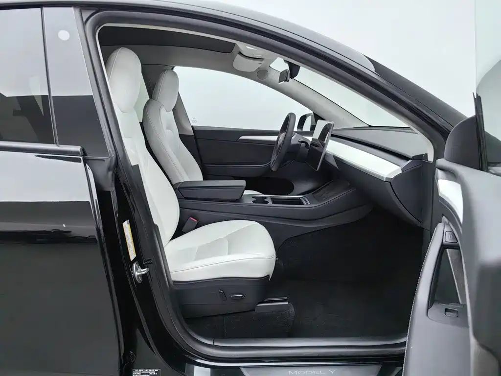Tesla Model Y — миниатюра 23