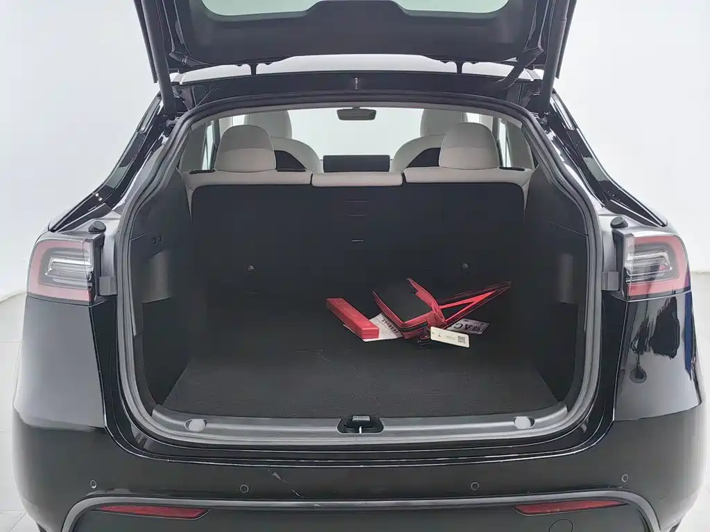 Tesla Model Y — миниатюра 16