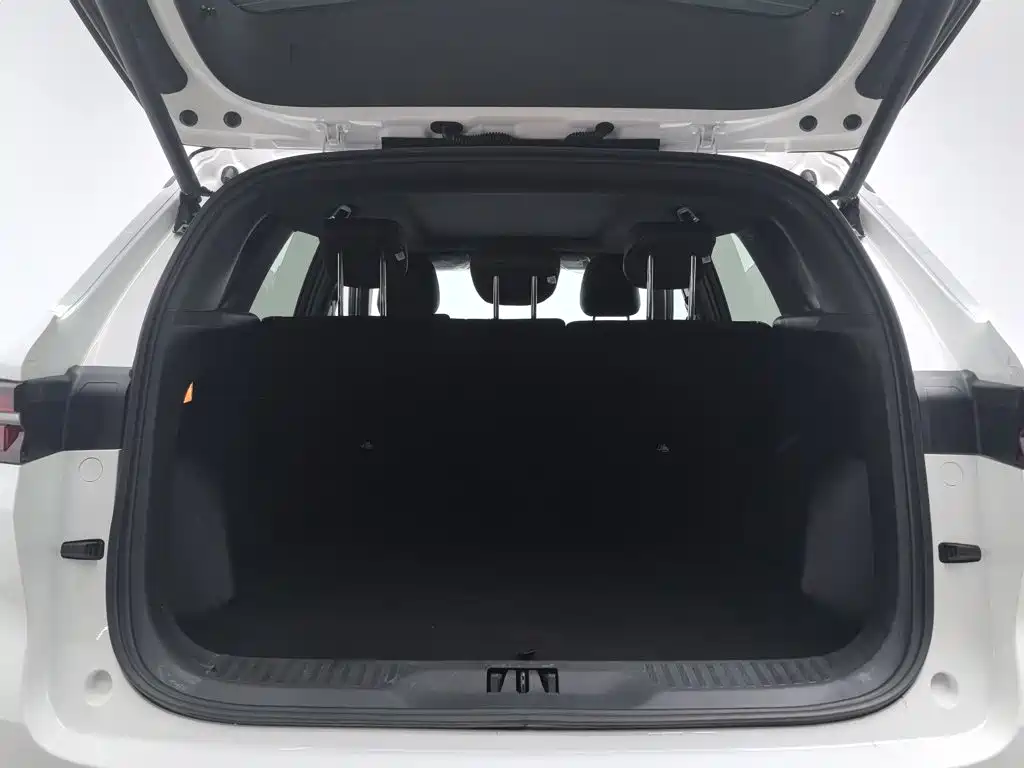 Ford Territory — миниатюра 16
