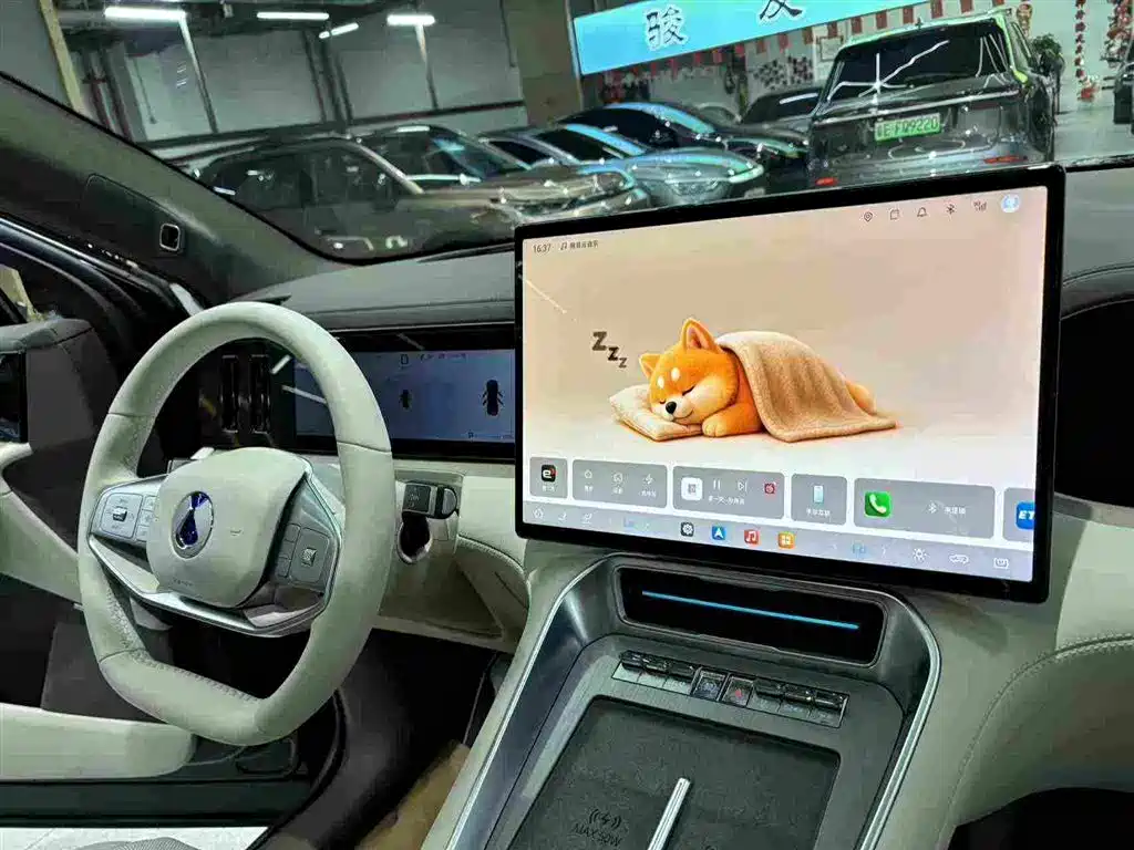 Denza Zoom N8L — миниатюра 31
