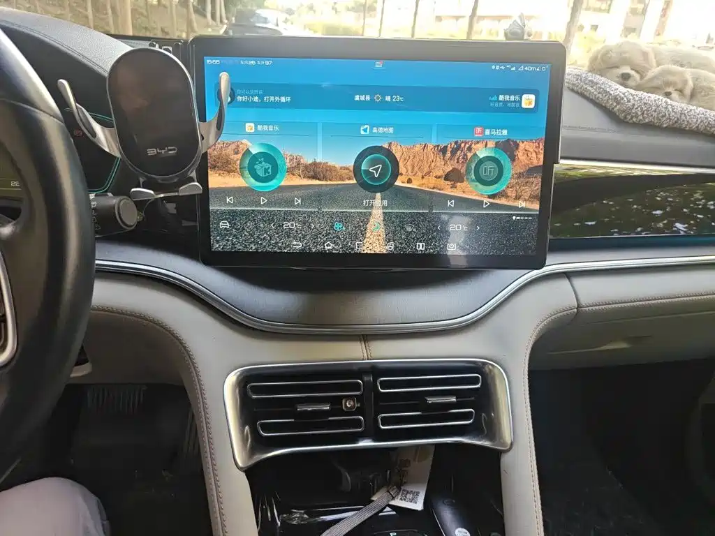 BYD PLUS New Energy — миниатюра 9