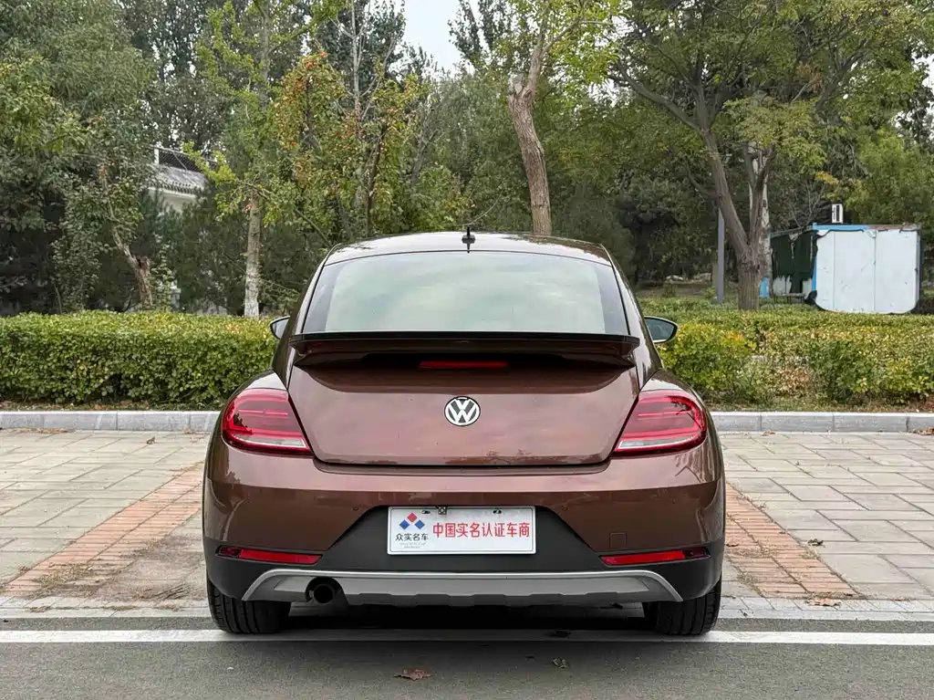 Volkswagen Beetle — миниатюра 19
