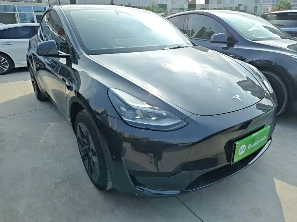 Tesla Model Y — миниатюра 4