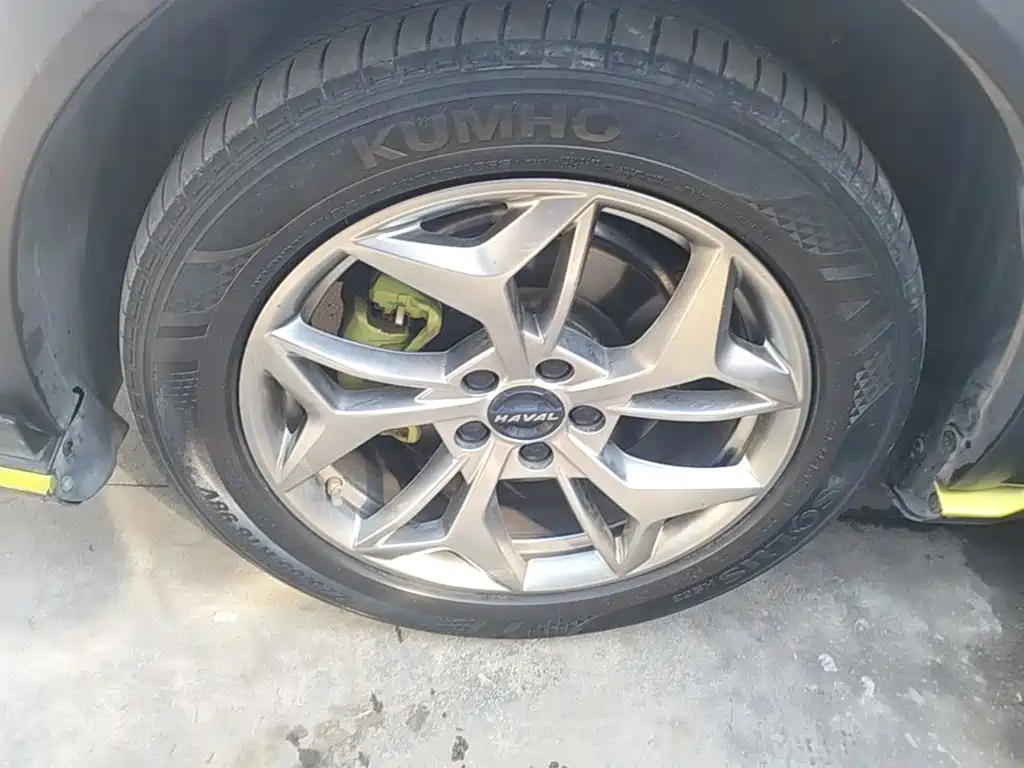 Haval Chitu — миниатюра 23