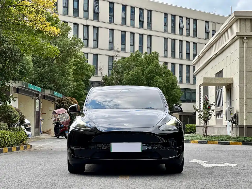 Tesla Model Y — миниатюра 2