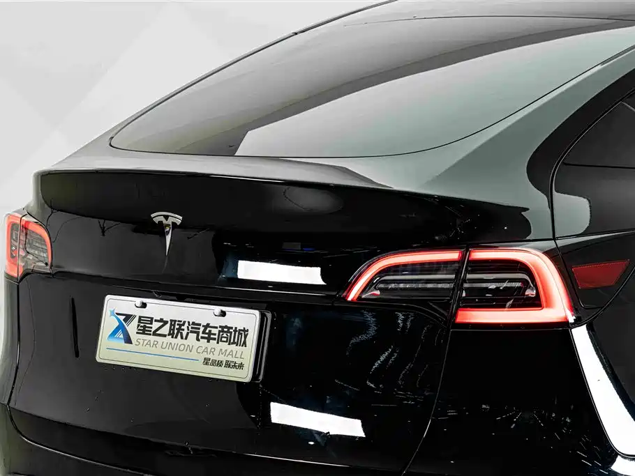 Tesla Model Y — миниатюра 8