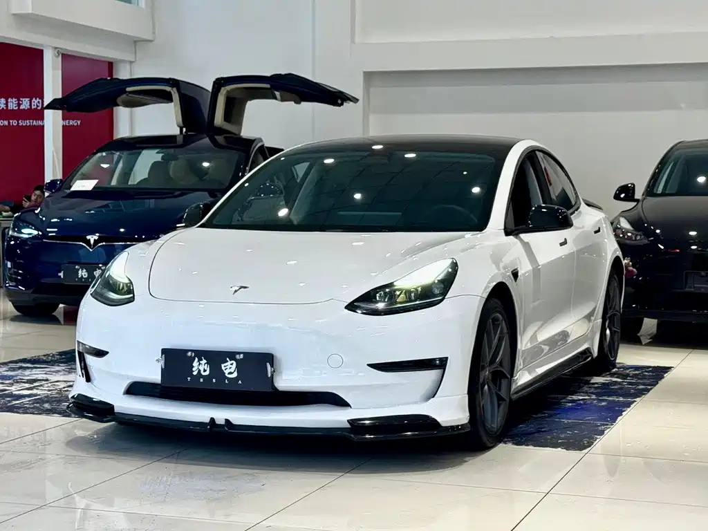 Tesla Model 3 2022