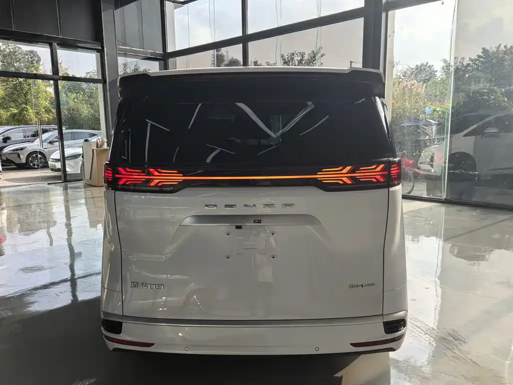 Denza Denza D9 — миниатюра 15