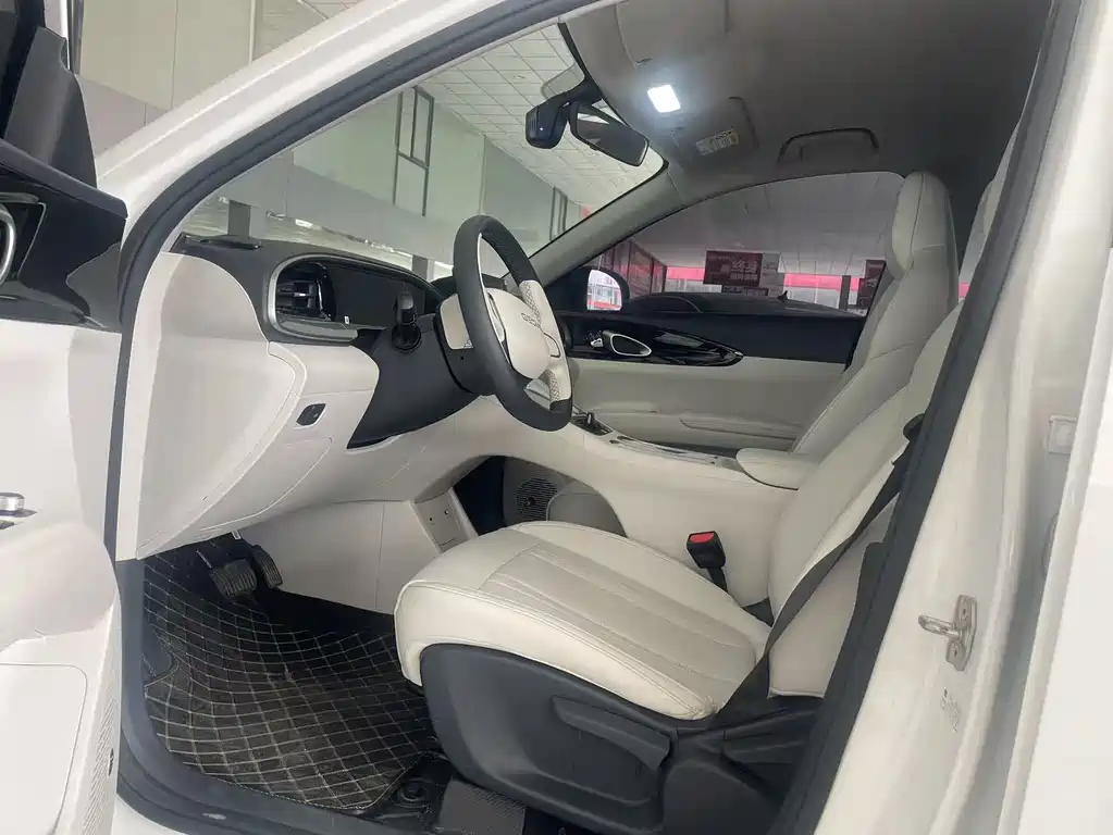 Geely Geome Xingyuan 2025 310km