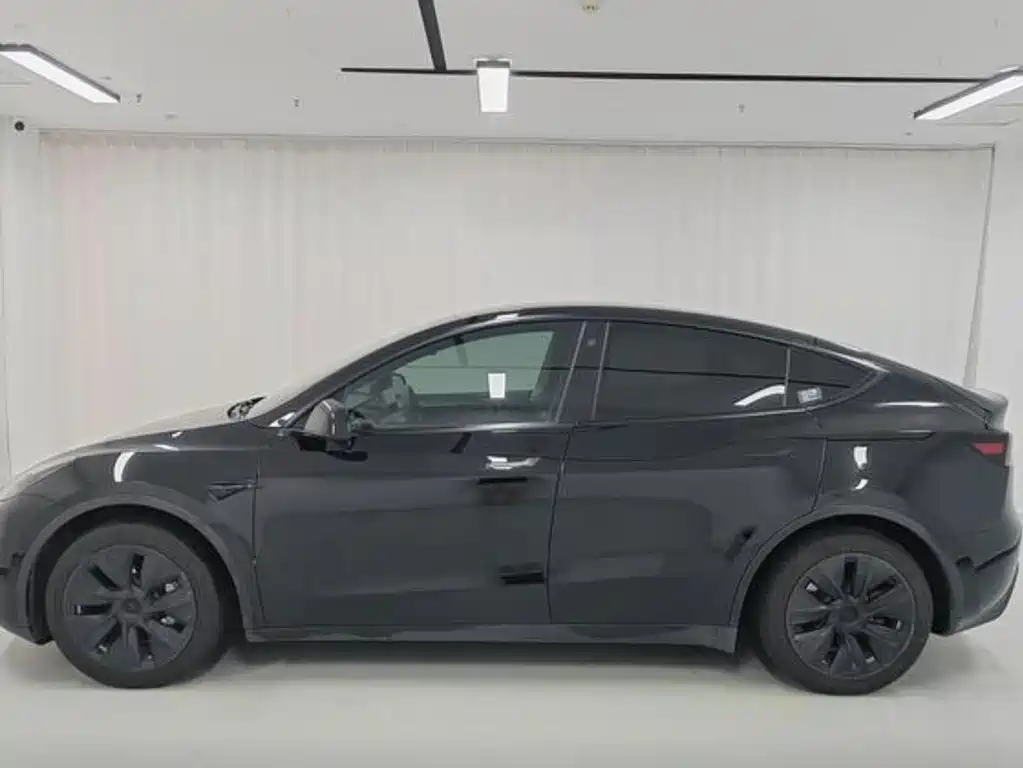Tesla Model Y — миниатюра 9