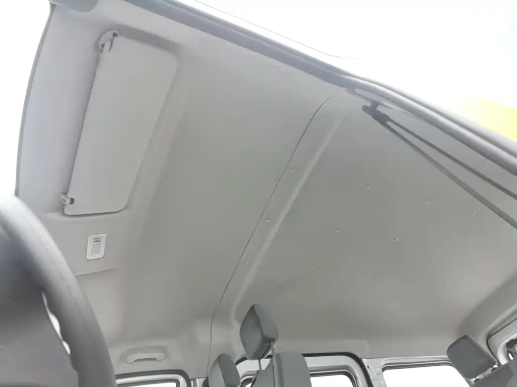 Foton Tuyano — миниатюра 14