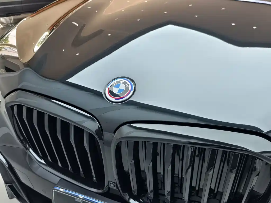 BMW X5 — миниатюра 13