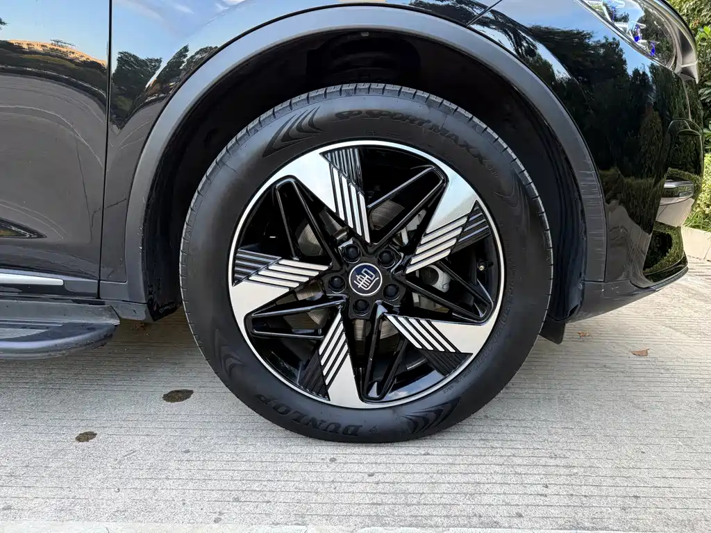 BYD Tang New Energy — миниатюра 12