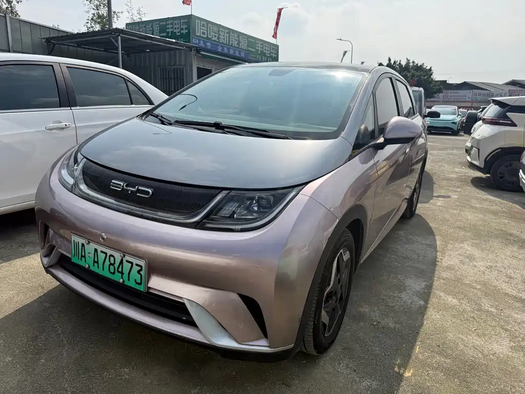 BYD Dolphin