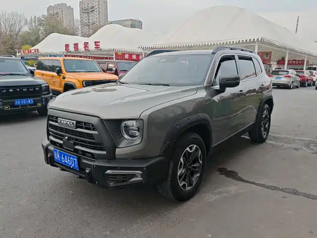 HAVAL BIG DOG 2024