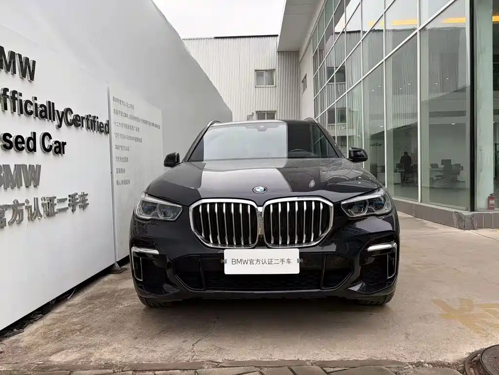 BMW X5 — миниатюра 2