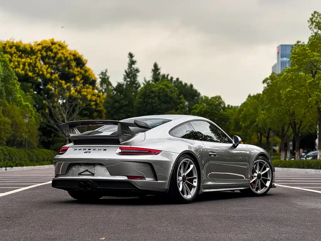 Porsche 911 — миниатюра 22