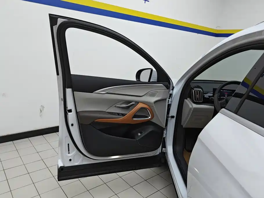 BYD Pro New Energy — миниатюра 7