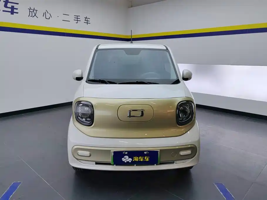 BESTUNE PENTIUM PONY