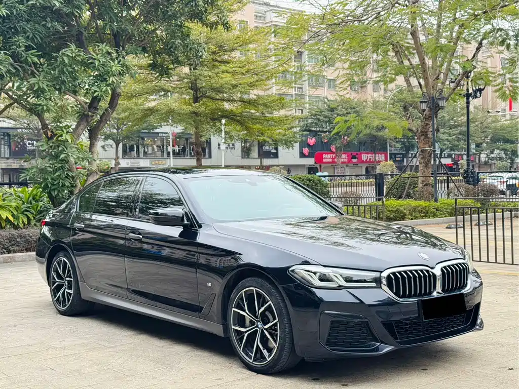 BMW 5 SERIES