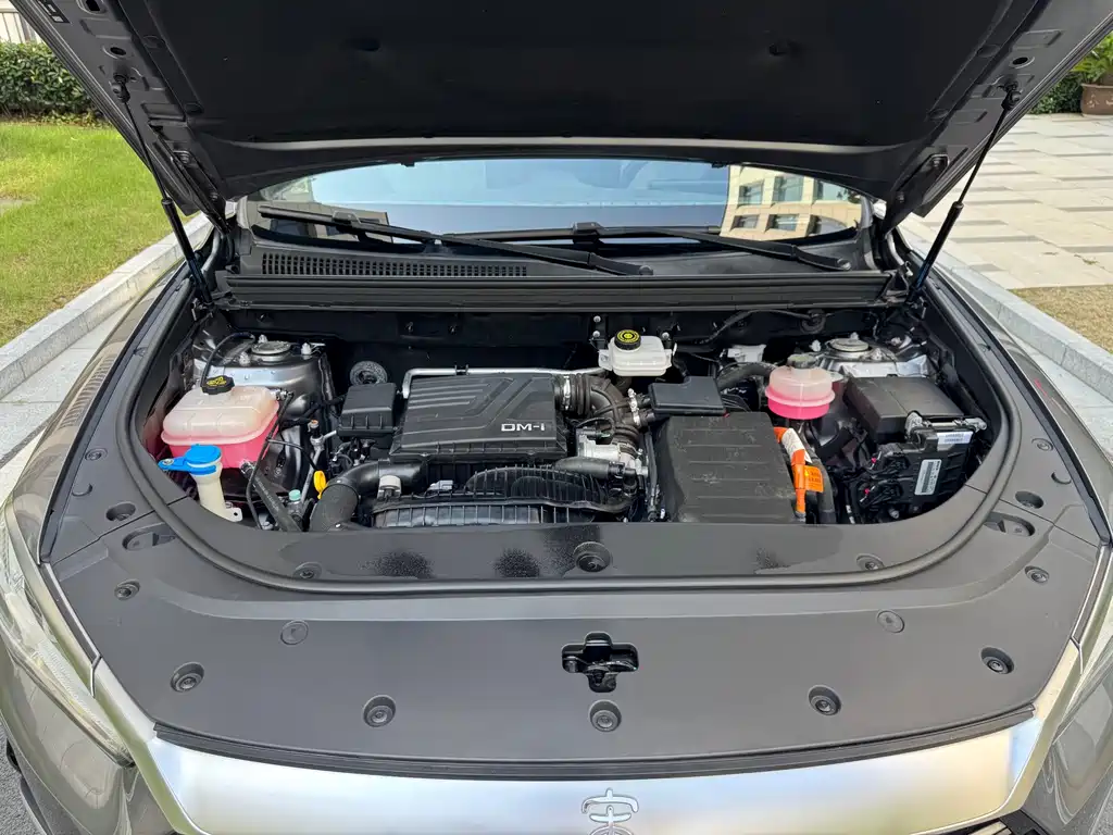 BYD Pro New Energy — миниатюра 28