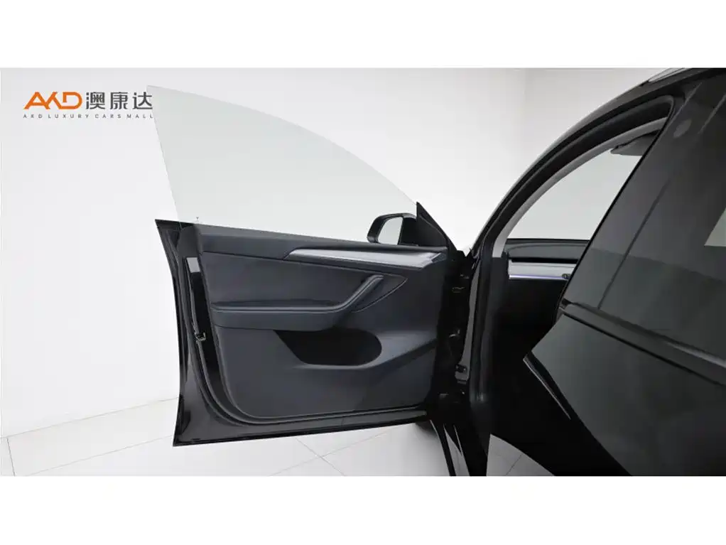Tesla Model Y — миниатюра 10