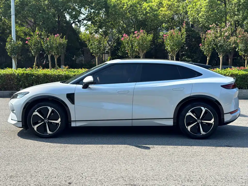 BYD L EV — миниатюра 13