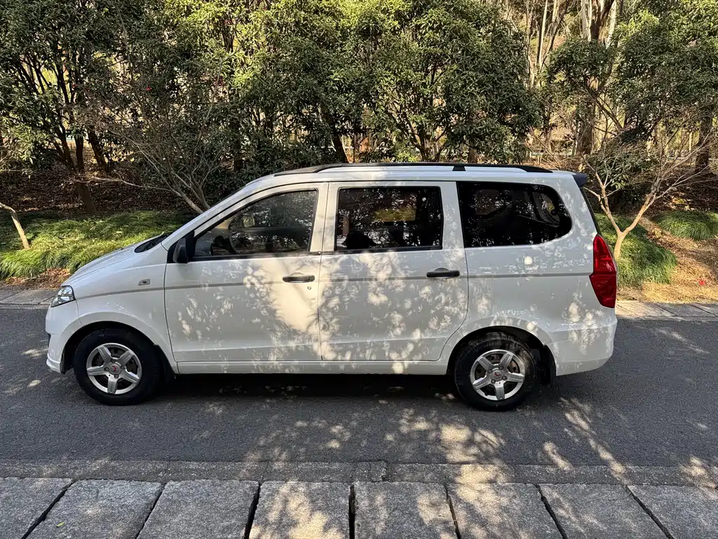 WULING WULING HONGGUANG