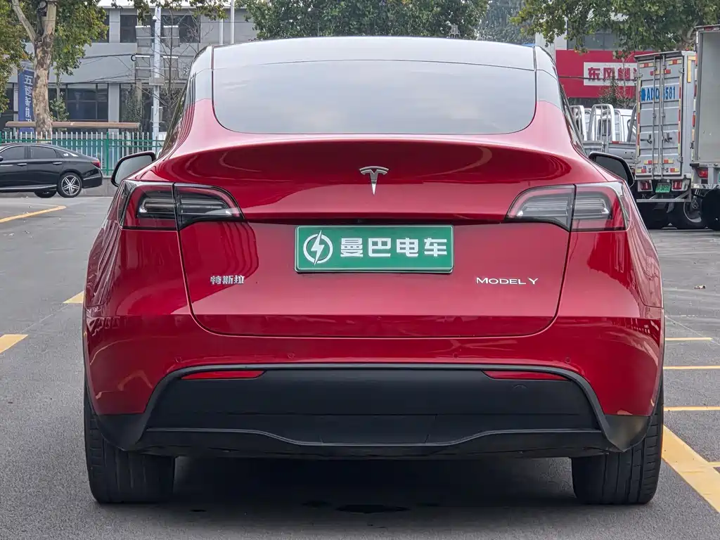 Tesla Model Y — миниатюра 5