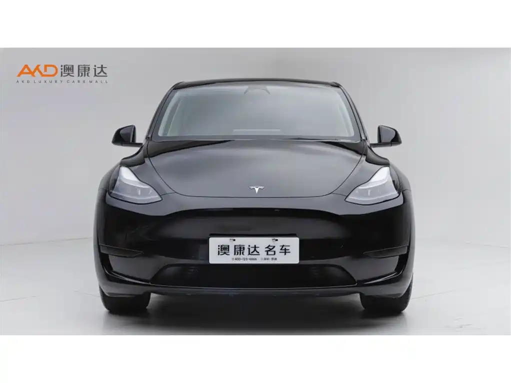 Tesla Model Y — миниатюра 2
