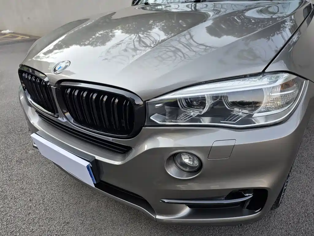 BMW X5 (Import) — миниатюра 16