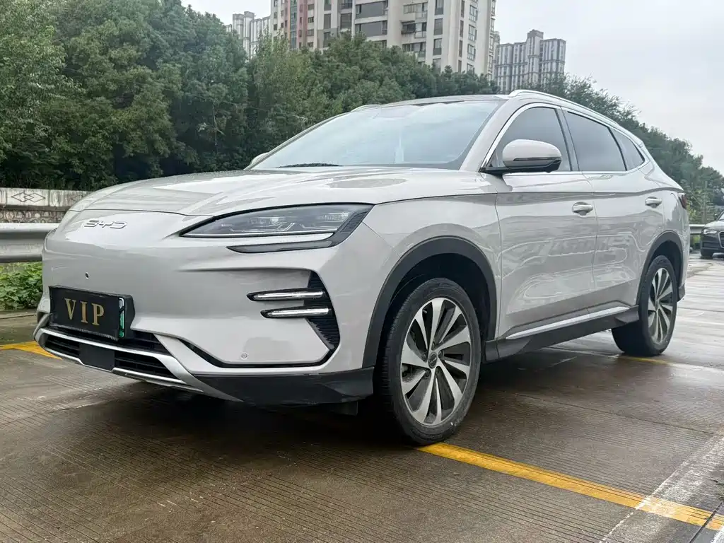 BYD PLUS New Energy