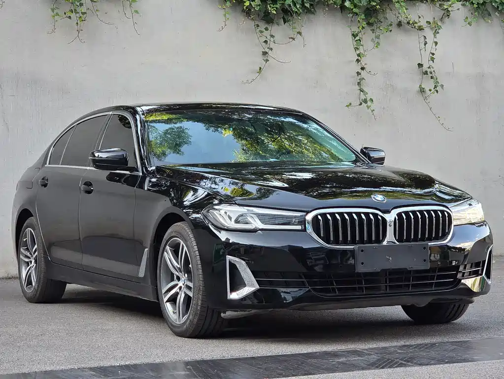 BMW 5 Series — миниатюра 3