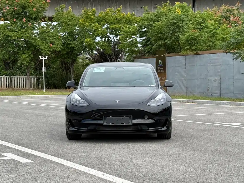 Tesla Model 3 — миниатюра 2