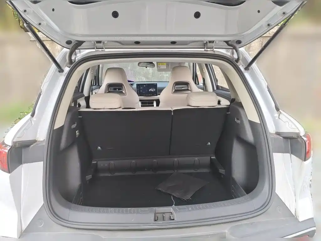 BYD Yuan UP — миниатюра 15