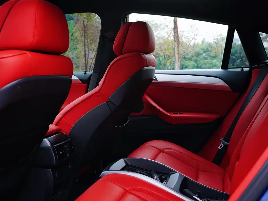 BMW X6 M 2010 X6 M