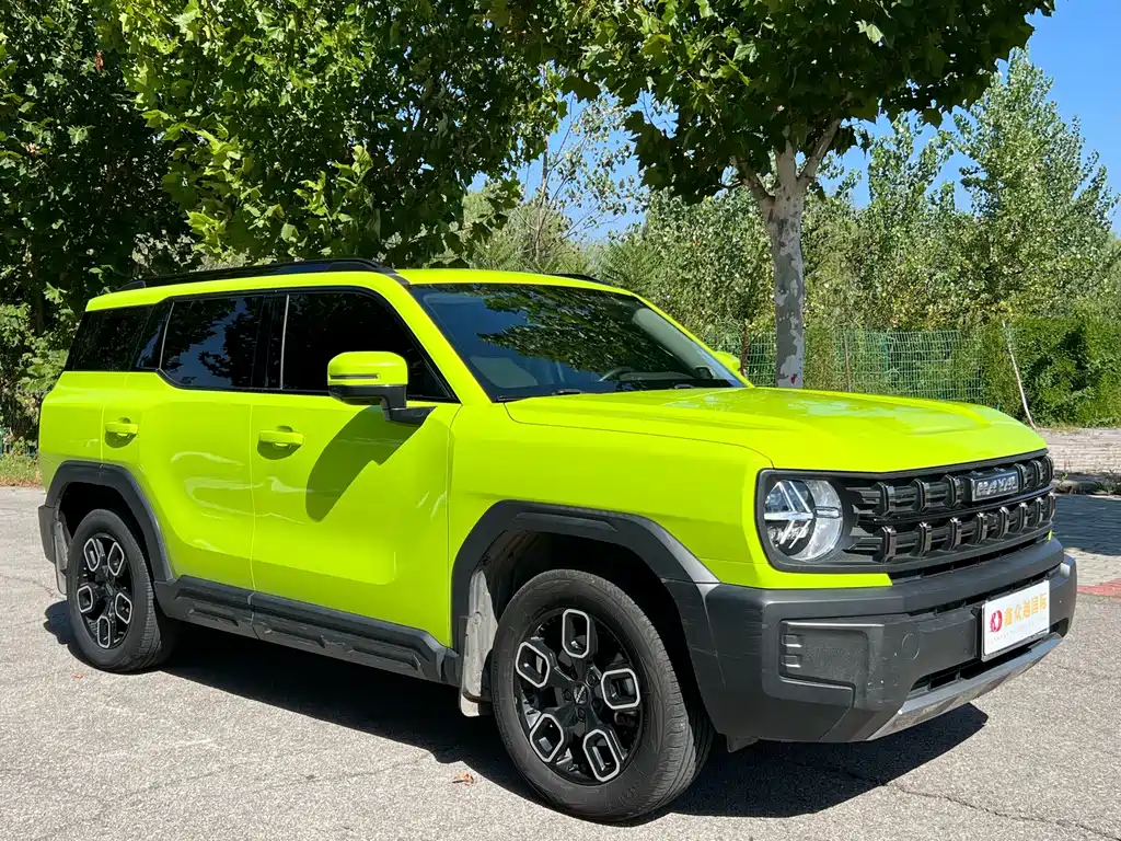 Haval Cool Dog — миниатюра 3