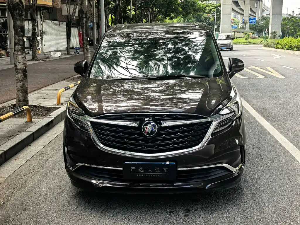 Buick GL8 — миниатюра 3