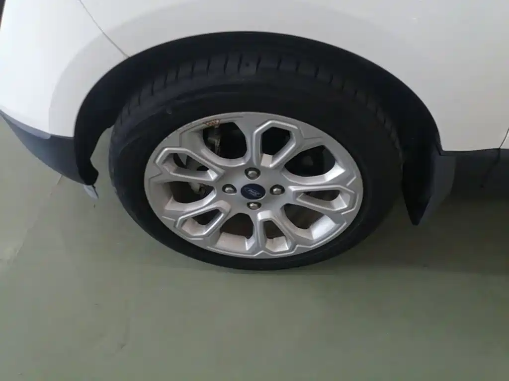 Ford Ecosport — миниатюра 23
