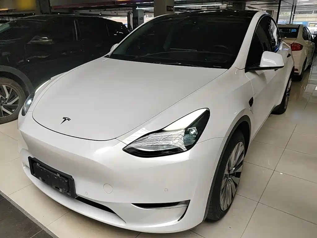 Tesla Model Y — миниатюра 2