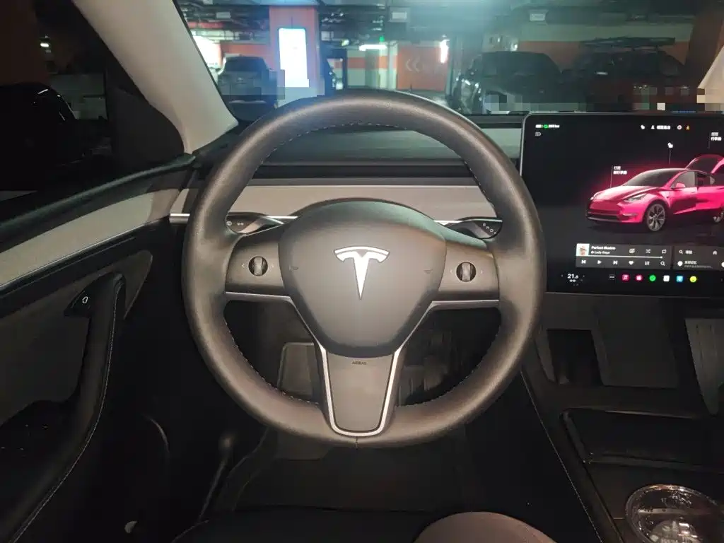 Tesla Model Y — миниатюра 11