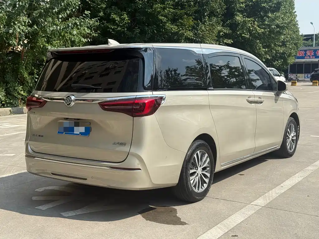 Buick GL8 — миниатюра 18
