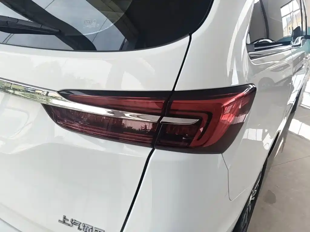 Buick GL8 — миниатюра 8