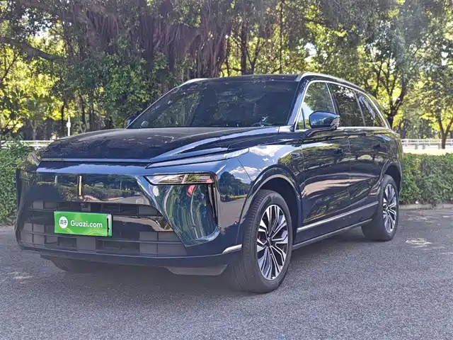 WEI PAI WEI BRAND BLUE MOUNTAIN 2023