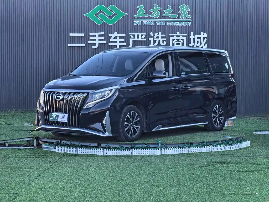 Купить GAC Motor Trumpchi M8