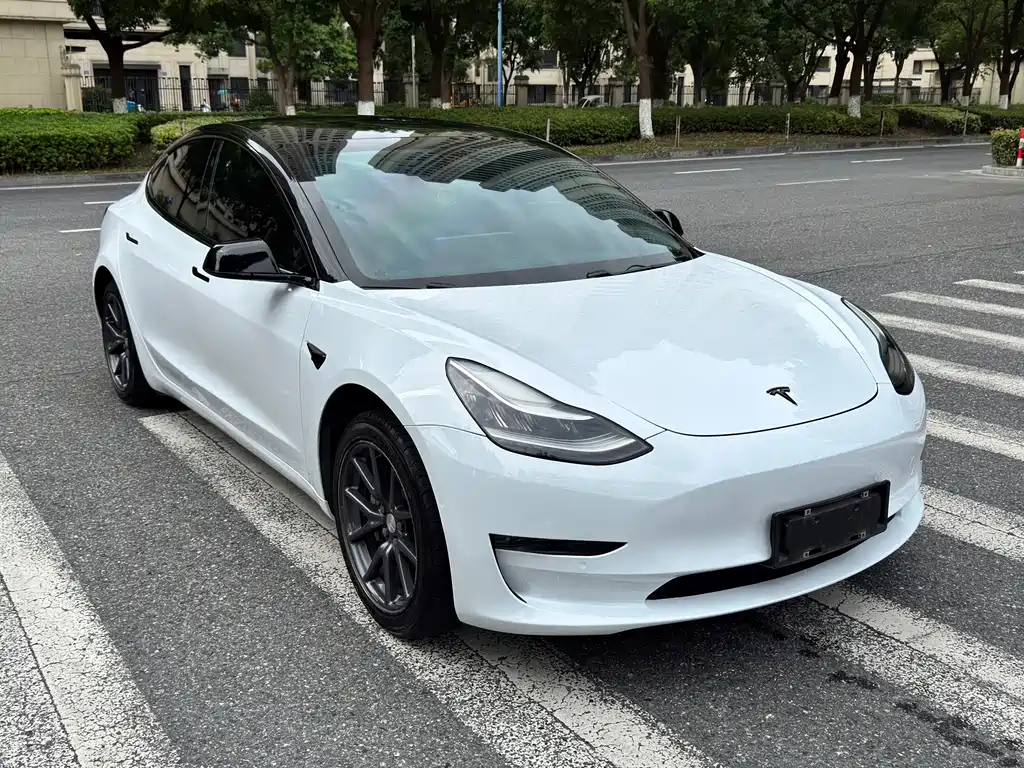 Tesla Model 3 — миниатюра 3
