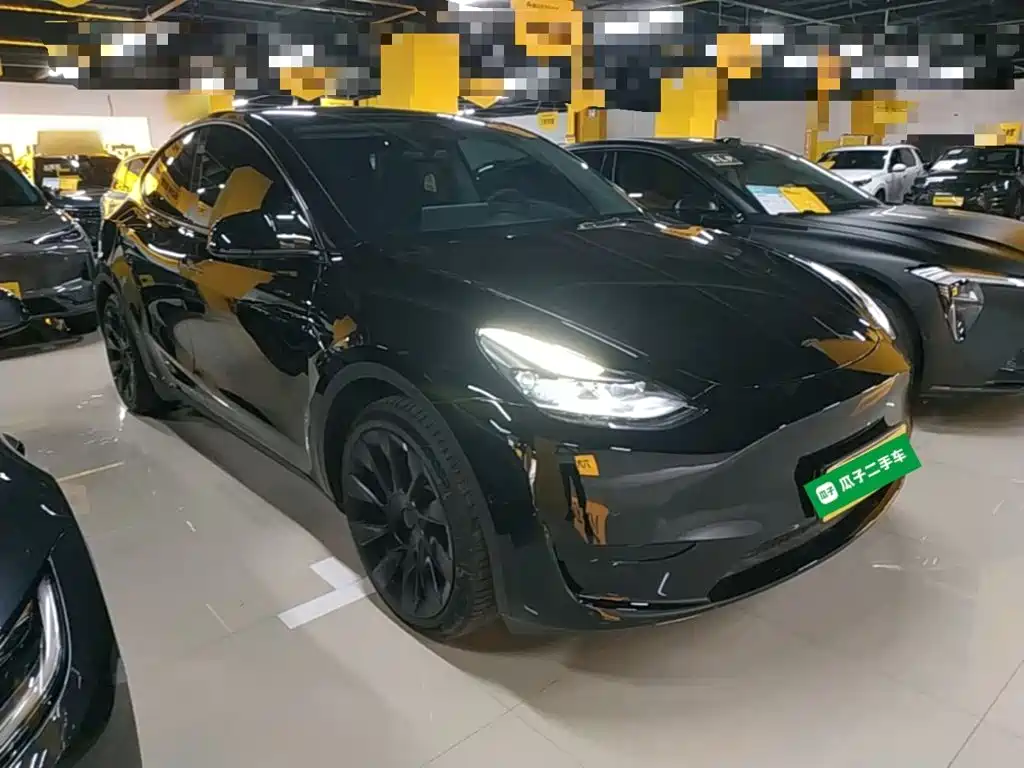 Tesla Model Y — миниатюра 4