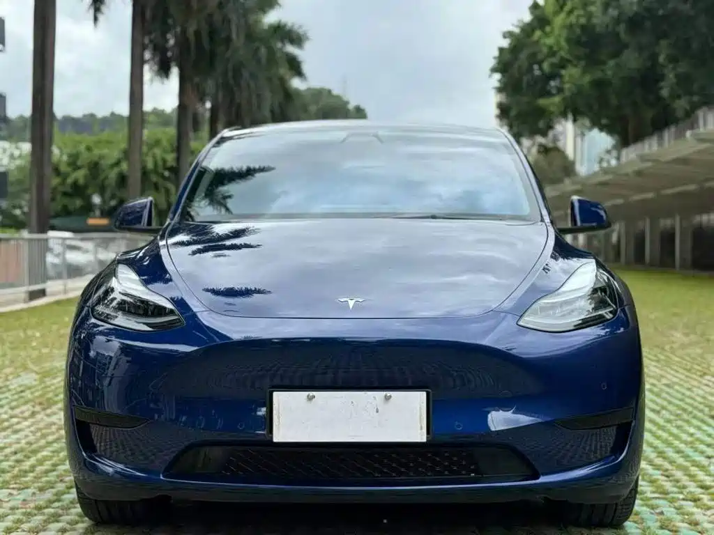 Tesla Model Y — миниатюра 2