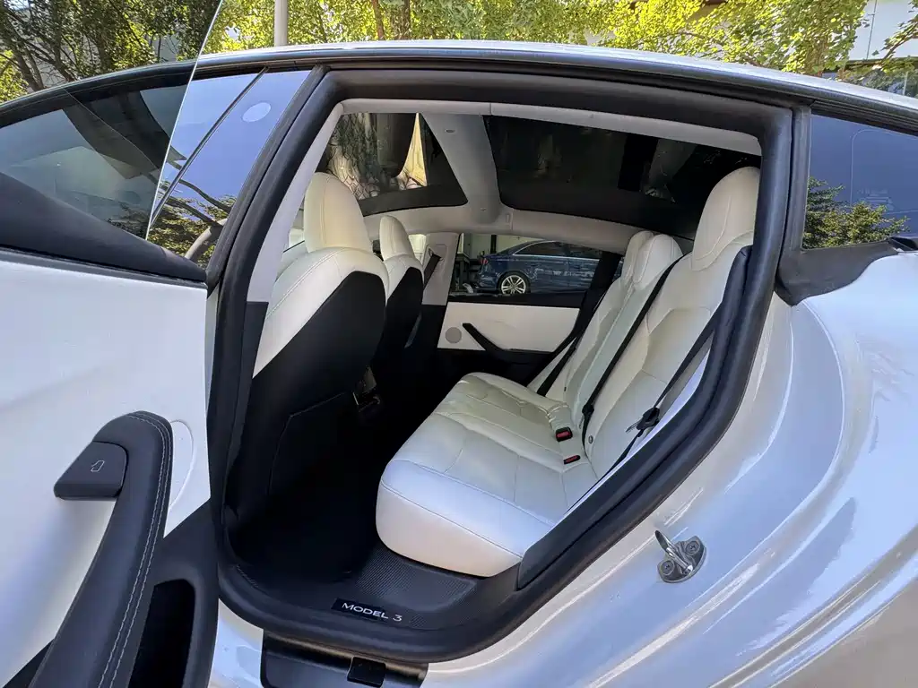Tesla Model 3 — миниатюра 19