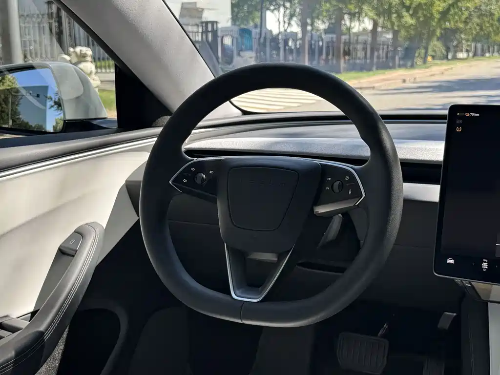 Tesla Model 3 — миниатюра 21